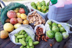 Fruits-de-Guadeloupe-2-