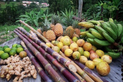 Fruits-de-Guadeloupe