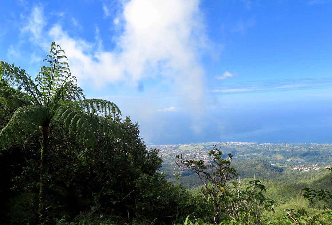 Vue en hauteur de la soufrière de Guadeloupe