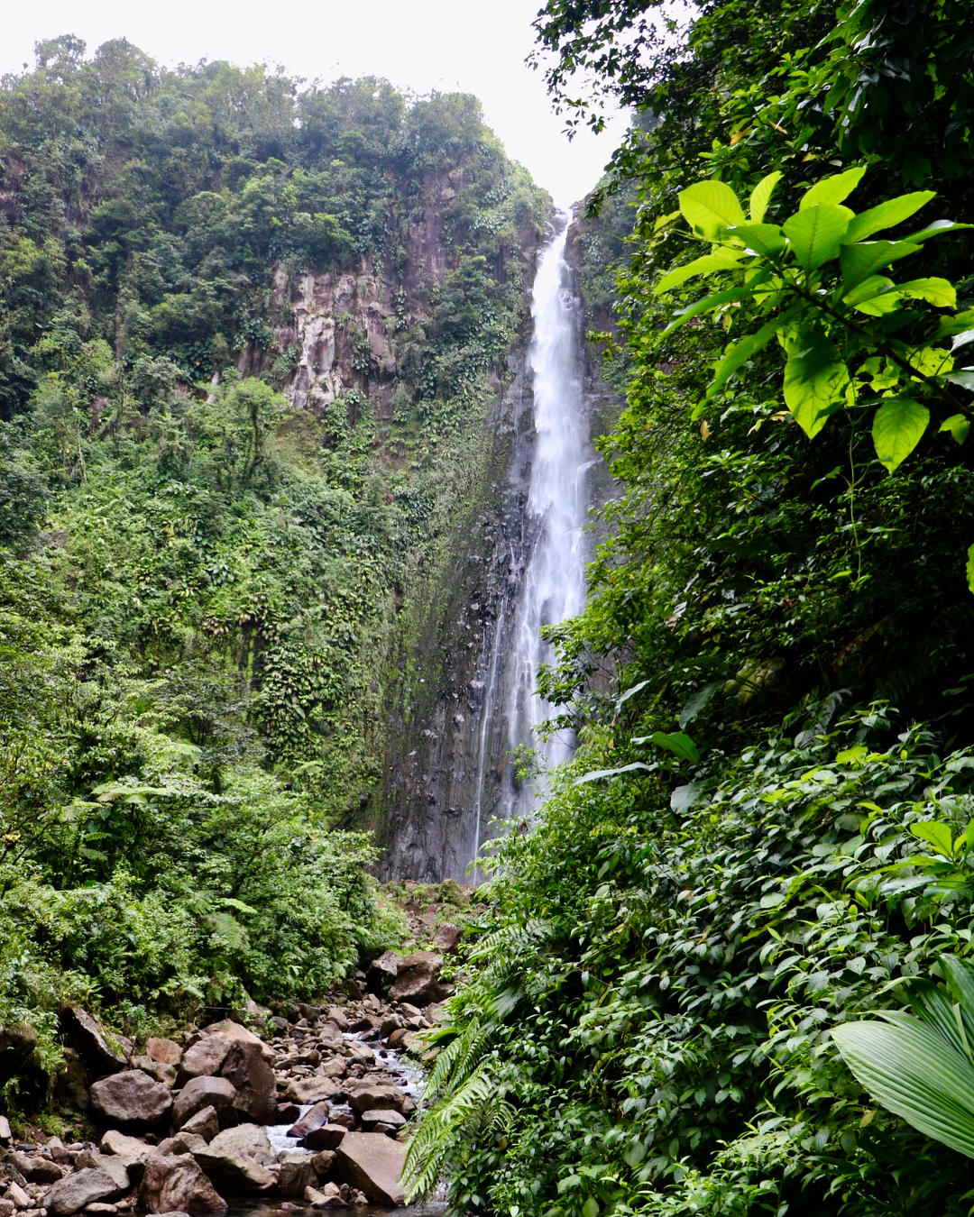 Les chutes du Carbet demeurent parmi les plus belles et les plus impressionnantes des Petites Antilles. 