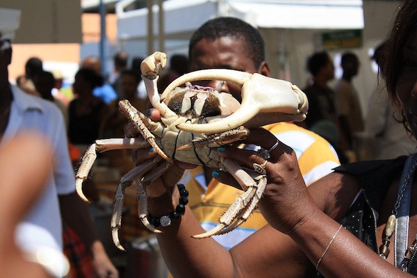 Crabe de terre Guadeloupe