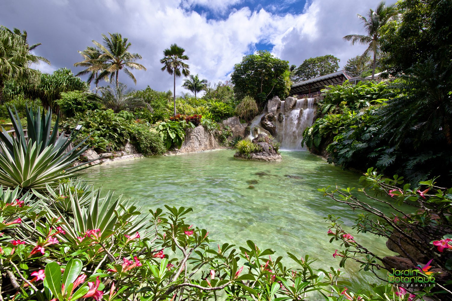 Cascade du Jardin Botanique de Deshaies en Guadeloupe