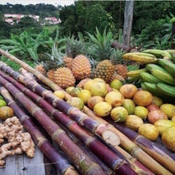 Fruits de Guadeloupe